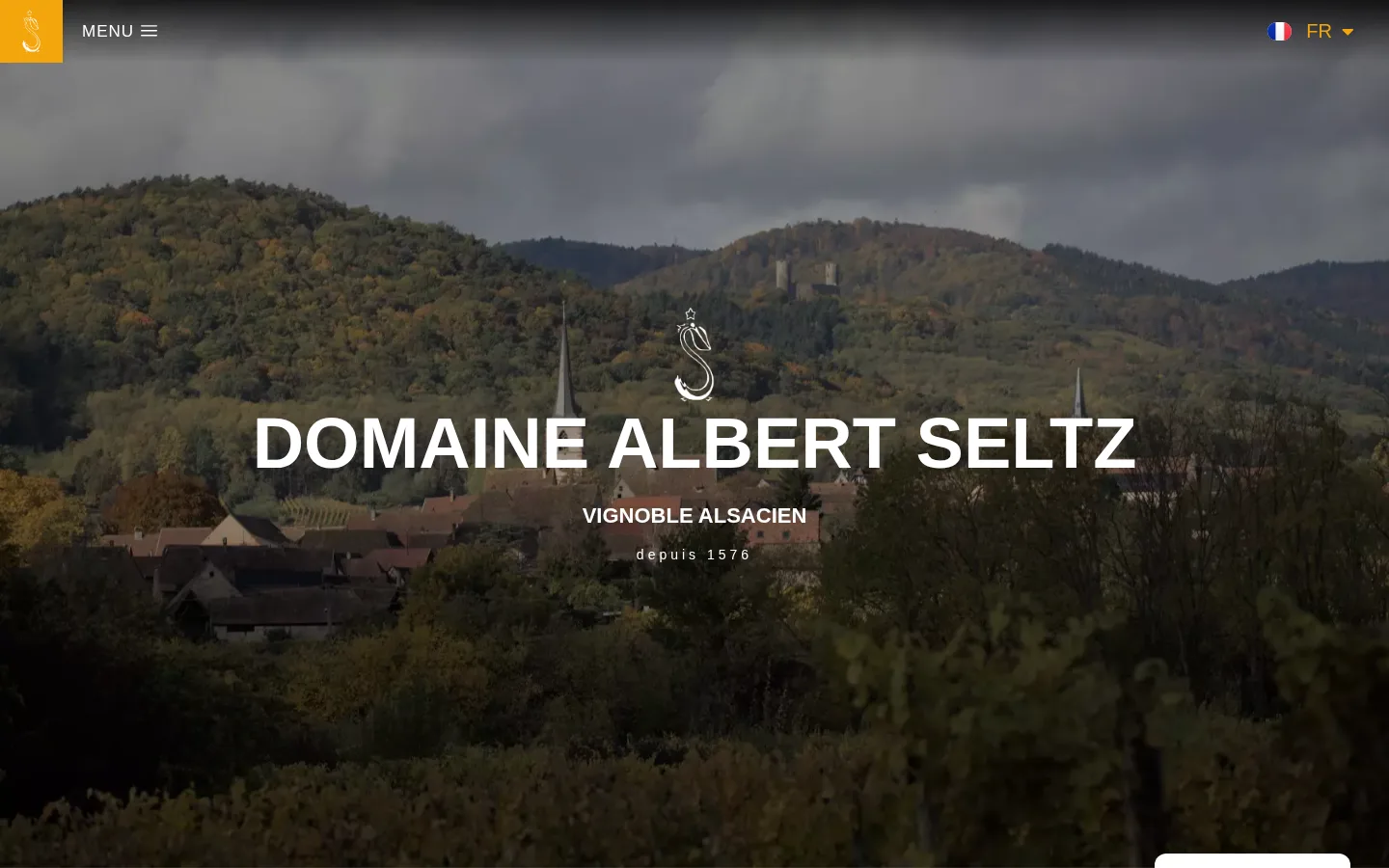 Page d'accueil d'albert-seltz.fr sur grand écran, le village de Mittelbergheim et ses vignes en fond, « Domaine Albert Seltz, vignoble alsacien depuis 1576 »