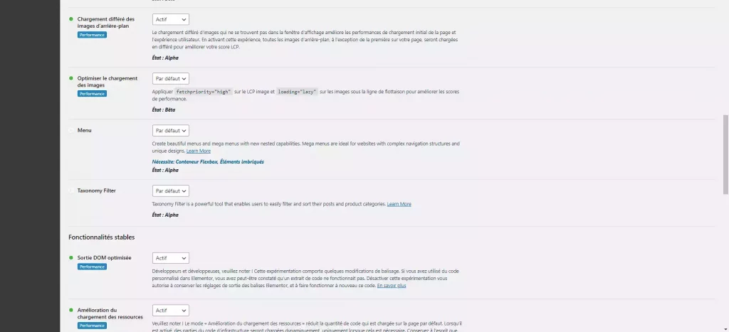 Screenshot des paramètres d'optimisation d'Elementor