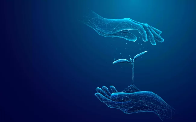 Deux mains qui se rapprochent avec une pousse au milieu